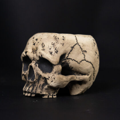 Skull Mug